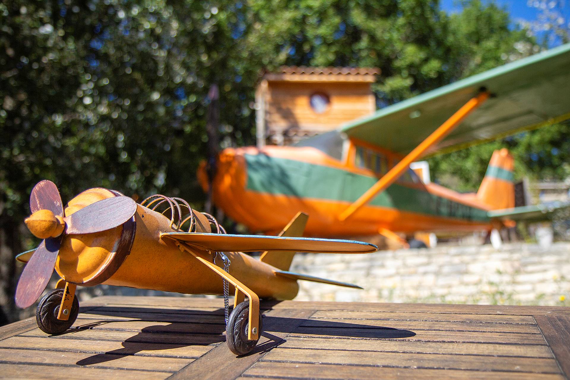 Natura Lodge - Les Insolites_éco avion1