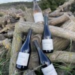 Gamme de vins du domaine_bois