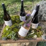 gamme des vins du Domaine de Taumassou_printemps