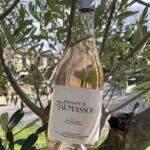 Au coeur de l'olivier, le rosé du Domaine de Taumassou