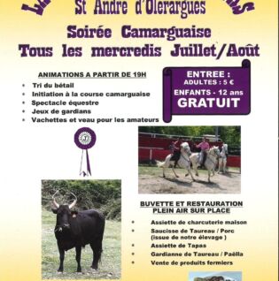 tous les mercredis soirs de juillet et août animations taurines à la Manade du Joncas