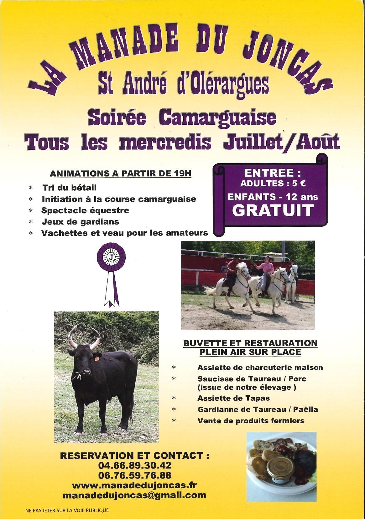 tous les mercredis soirs de juillet et août animations taurines à la Manade du Joncas