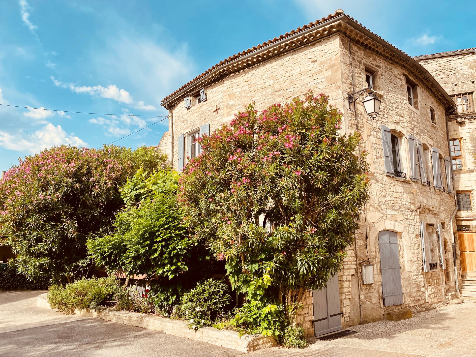 Les Lauriers Roses_Bertrand Ménagé_façade
