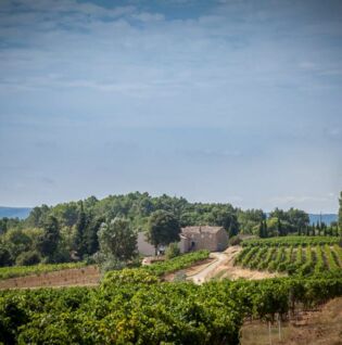 Vue sur le domaine de La Réméjeanne