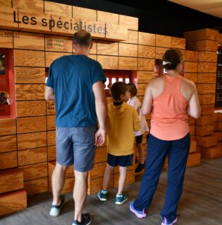 Escape game en famille à l'Espace Rabelais - centre oenotouristique du Gard Rhodanien