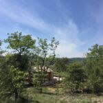 Vue sur la nature et la yourte