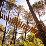 Parcours accrobranche