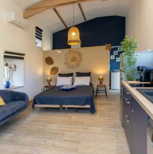 Pièce de vie avec espace couchage