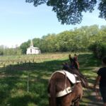 Randonnée avec les ânes en Provence Occitane