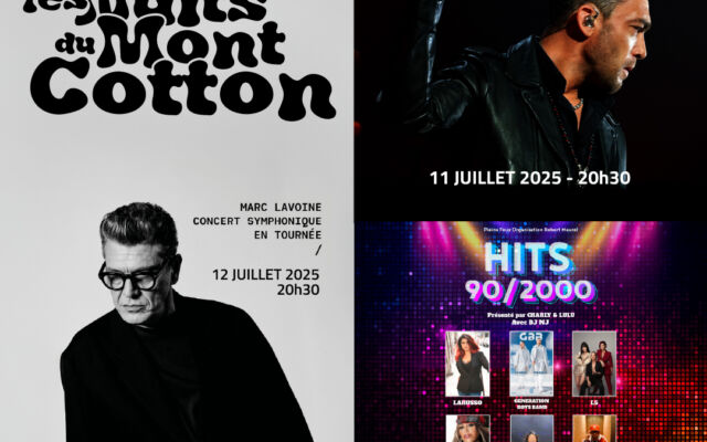 La voix de Johnny... mais pas seulement.
