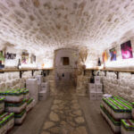 Au coeur de la cave du Château St Nabor, découvrez le métier de vigneron et dégustez les vins du domaine