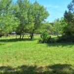 Espace extérieur avec les chevaux