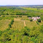 Vue aérienne du domaine HollyOaks en pleine forêt