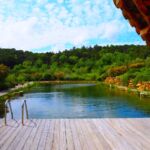 Bassin de baignade naturel collectif avec aucun vis à vis