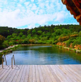 Bassin de baignade naturel collectif avec aucun vis à vis