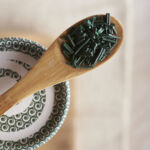 Découverte de la spiruline au domaine Manjolive