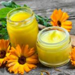 Atelier proposé par Plantes et Cie, les ateliers vivants