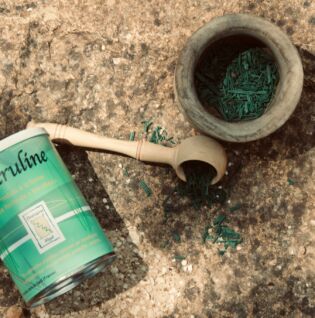 Domaine Algal, producteur de spiruline à St André d'Olérargues