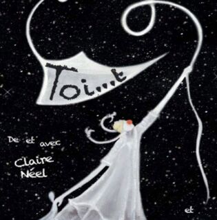 Affiche Spectacle de cirque : Toi T