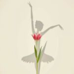 Illustration "Les saisons en mouvements