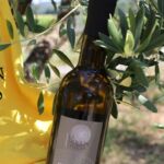 Tablier de notre moulin et huile d'olive de France olives maturées