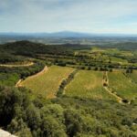 Vue depuis le château de Gicon