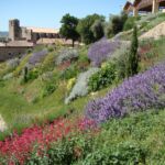 Les halles Planchon, et l'église de Laudun