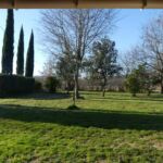 Le Bassin de Toupian - Jardin