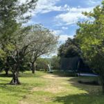 Le Mas d'Aujac - Jardin