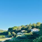 Joie de Vivre - Vue générale du Domaine Cadignac