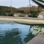 Maison Aeterna - Piscine