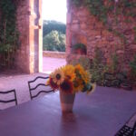 La Bergerie - Accès cour extérieure