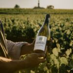 Glacière blanc avec les vignes