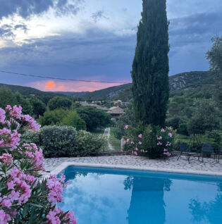 Roses - Piscine