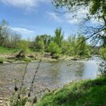 La Saraillère - Plage privée de l'Aire Naturelle
