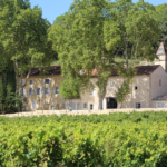 Château de l'Olivète - Château entouré des vignes