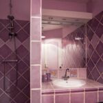 La Gane Audigier - Salle d'eau