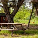 La Triniane - Jardin commun