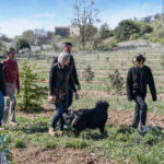 Maison de Garniac - Visite de la truffière