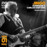 Affiche Concert Jingo du 1er mai 2026