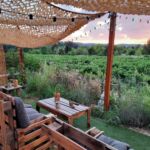 Terrasse devant les vignes