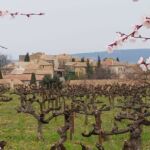 Studio - Vignes aux alentours