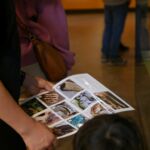 Visite "œil de Bonelli"