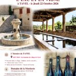 Visite du village de Tavel et initiation à la dégustation