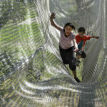 Accroche toi aux branches