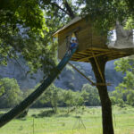 Accroche toi aux branches