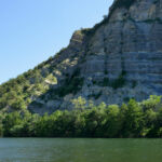 Accroche toi aux branches