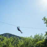 Accroche toi aux branches