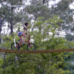 Accroche toi aux branches