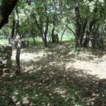 Paintball Ardèche (Vallon et Barjac)